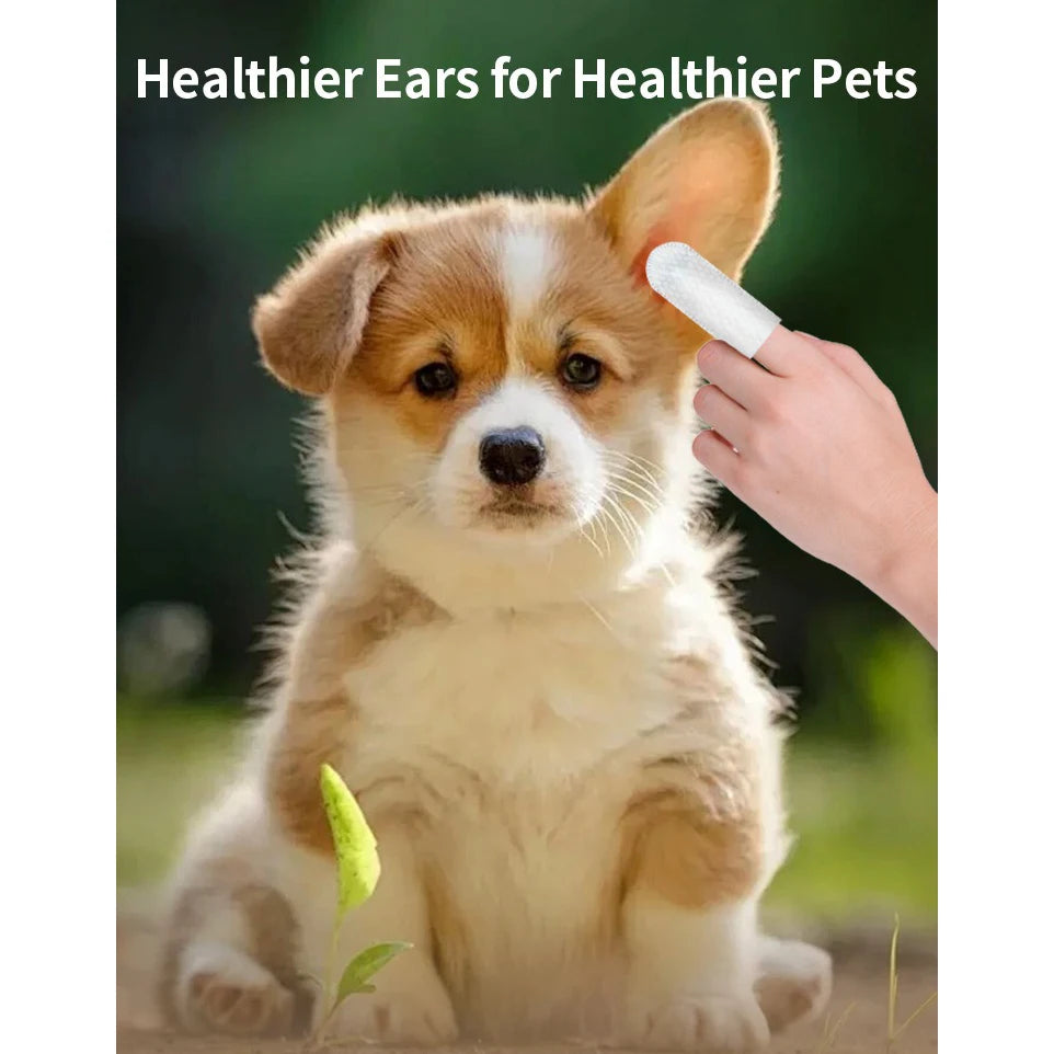 PawClean Ears